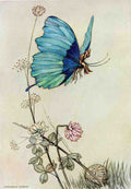 Warwick Goble Vol 2 009 Vintage Illustration A4 Photo Print