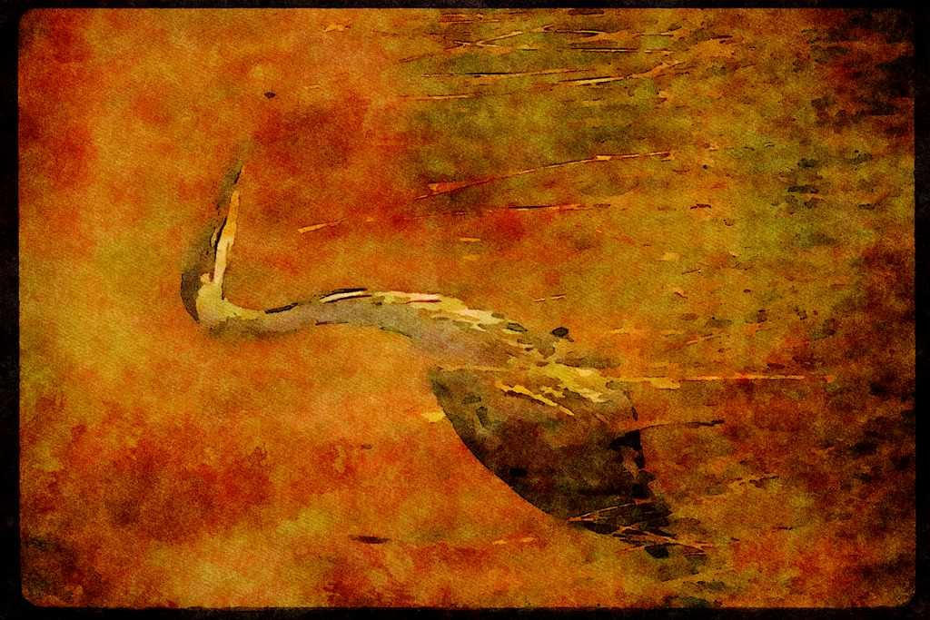 Water Fowl Birds 043005 Great Blue Heron A4 Limited Edition Watercolour Print