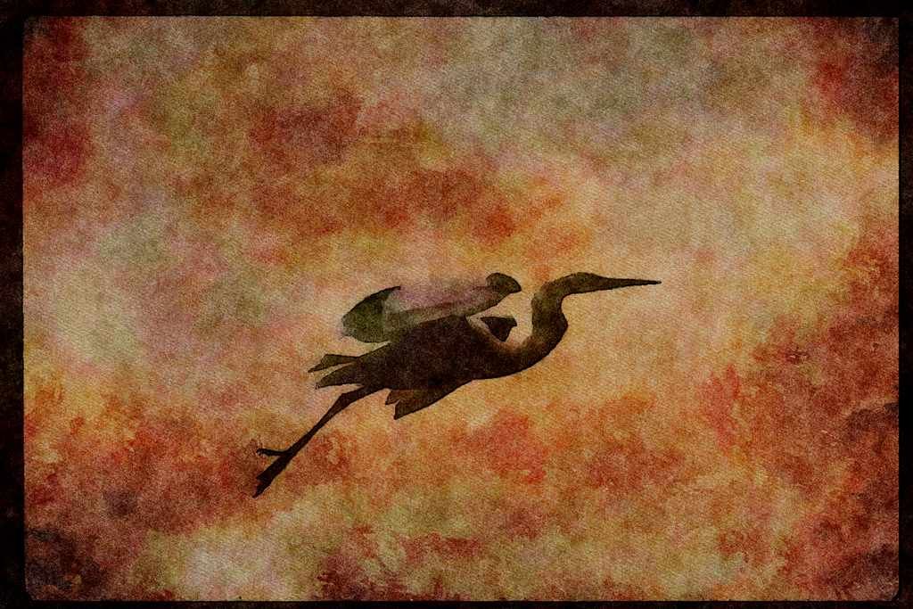 Water Fowl Birds 043013 Common Egret A4 Limited Edition Watercolour Print