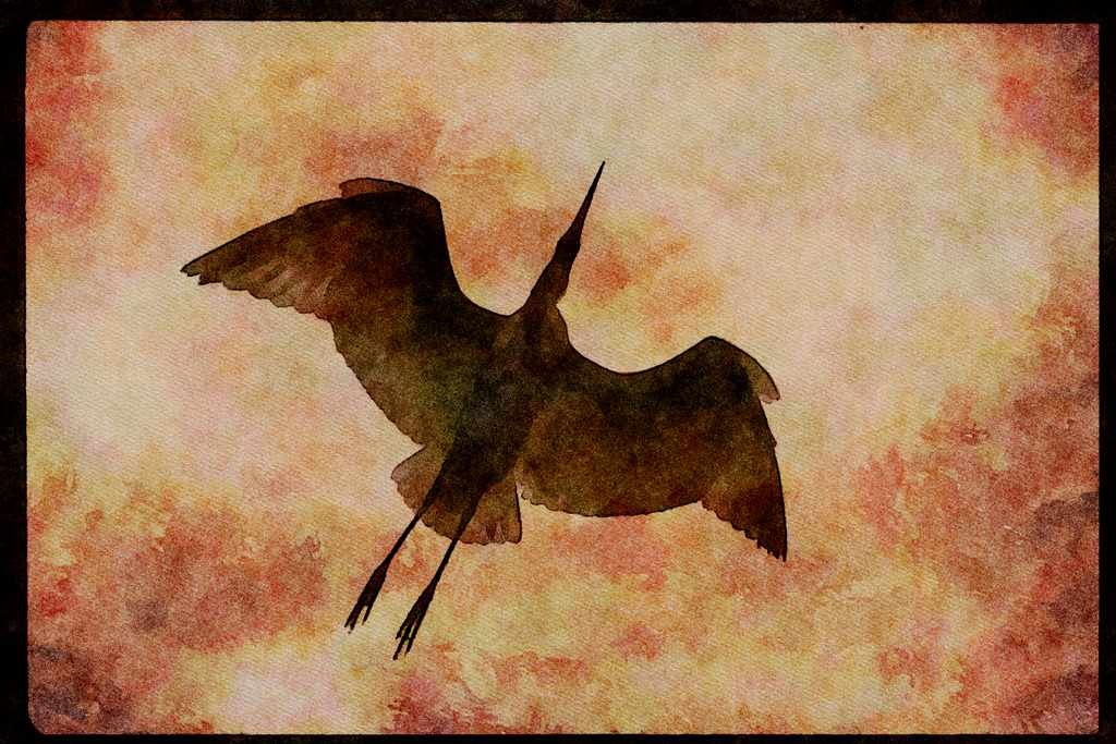 Water Fowl Birds 043014 Common Egret A4 Limited Edition Watercolour Print