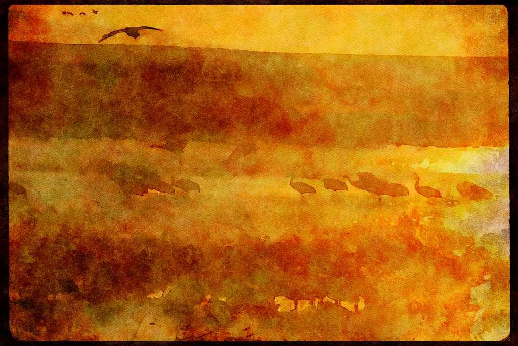 Water Fowl Birds 043031 Sandhill Cranes A4 Limited Edition Watercolour Print