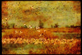 Water Fowl Birds 043048 Snow Geese A4 Limited Edition Watercolour Print