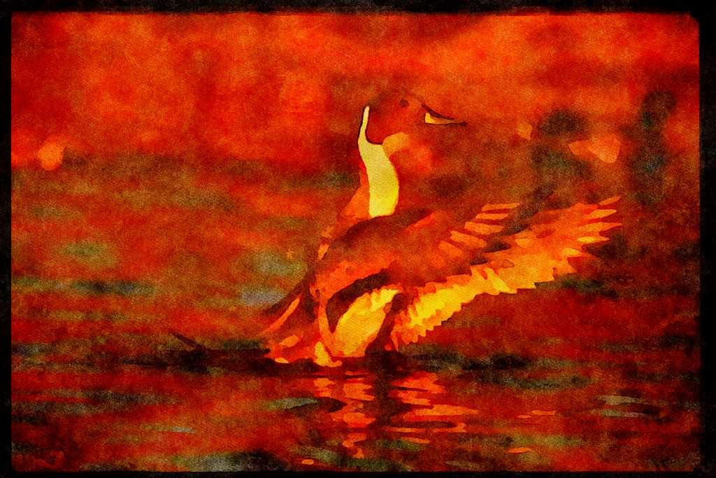 Water Fowl Birds 043058 Pintail A4 Limited Edition Watercolour Print