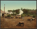 Weighing sugar cane at mill Cuba Vintage A4 Photo Print