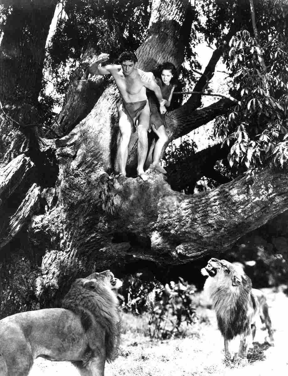 Weissmuller Johnny Tarzan Escapes 4 film star poster A4 Photo Print