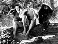 Weissmuller Johnny Tarzan Escapes 8 film star poster A4 Photo Print