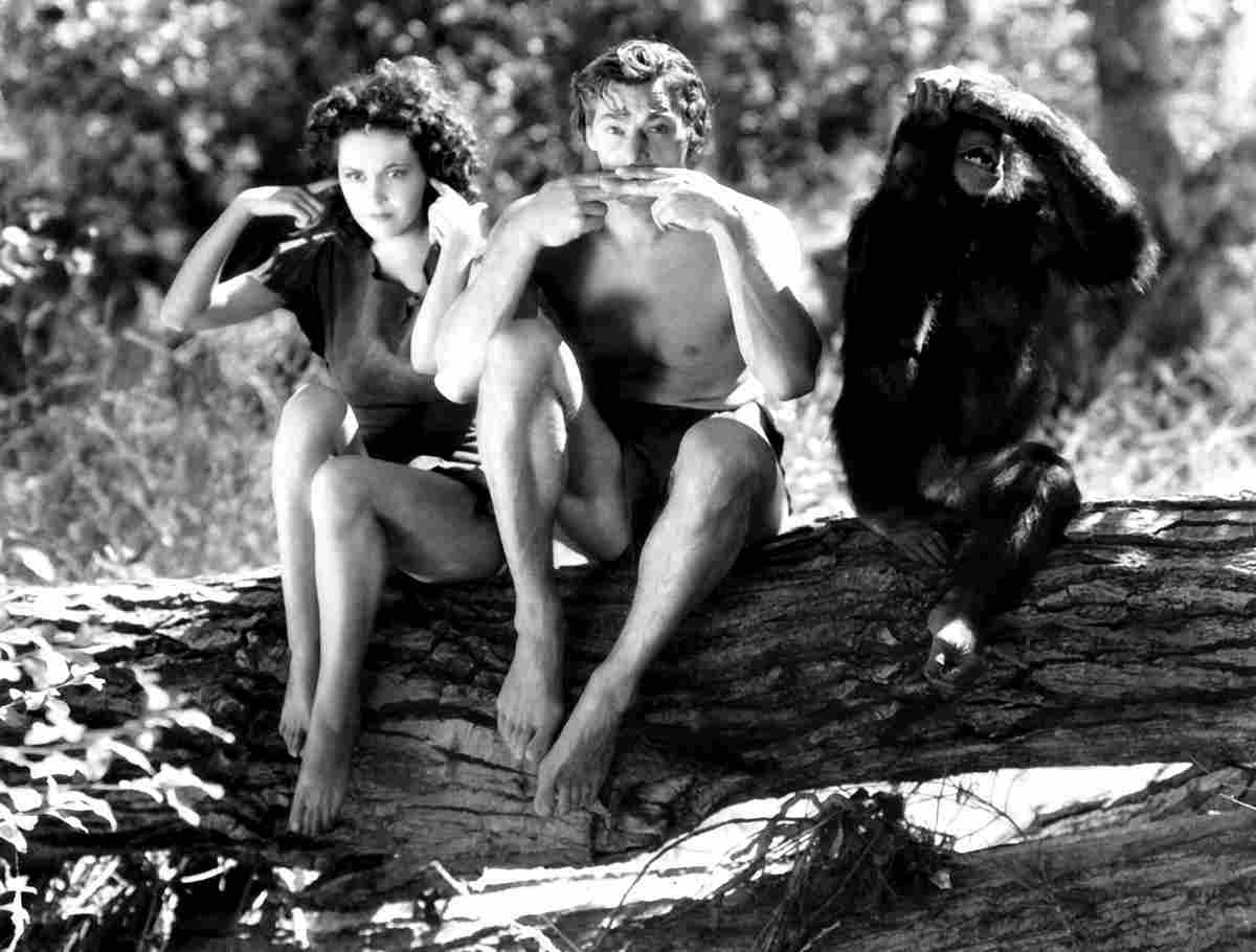 Weissmuller Johnny Tarzan Escapes 8 film star poster A4 Photo Print