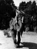 Weissmuller Johnny Tarzan Escapes z9 film star poster A4 Photo Print