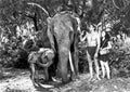 Weissmuller Johnny Tarzan Finds a Son 06 A4 Photo Print