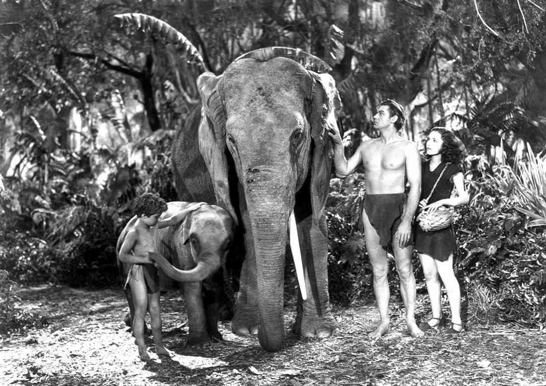 Weissmuller Johnny Tarzan Finds a Son 06 A4 Photo Print