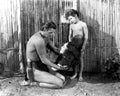 Weissmuller Johnny Tarzan Finds a Son 10 film star poster A4 Photo Print