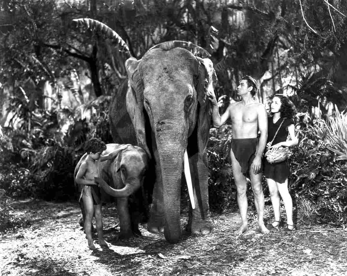 Weissmuller Johnny Tarzan Finds a Son 4 film star poster A4 Photo Print