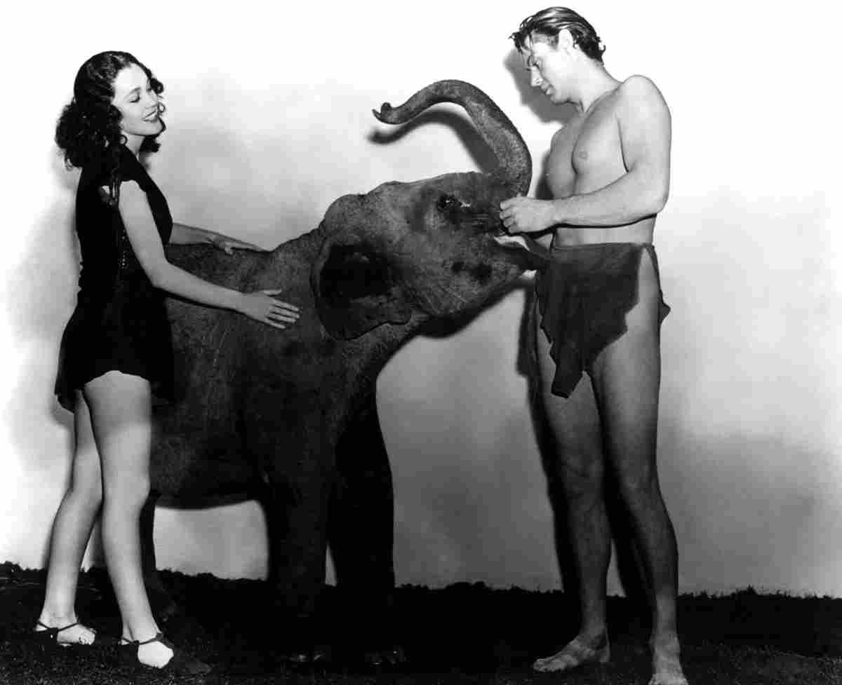 Weissmuller Johnny Tarzan Finds a Son 5 film star poster A4 Photo Print