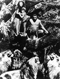 Weissmuller Johnny Tarzan Finds a Son 7 film star poster A4 Photo Print