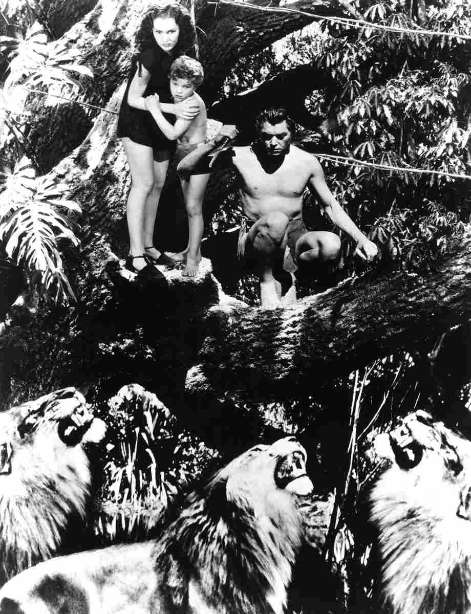 Weissmuller Johnny Tarzan Finds a Son 7 film star poster A4 Photo Print