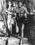 Weissmuller Johnny Tarzan Triumphs 06 film star poster A4 Photo Print