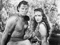 Weissmuller Johnny Tarzan Triumphs 12 film star poster A4 Photo Print