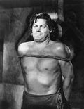 Weissmuller Johnny Tarzan Triumphs 4 film star poster A4 Photo Print