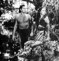 Weissmuller Johnny Tarzan Triumphs 9 film star poster A4 Photo Print
