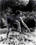 Weissmuller Johnny Tarzan & His Mate z4 film star poster A4 Photo Print