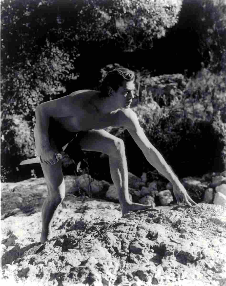 Weissmuller Johnny Tarzan & His Mate z4 film star poster A4 Photo Print
