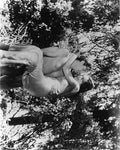 Weissmuller Johnny Tarzan & His Mate z8 A4 Photo Print