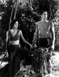 Weissmuller Johnny Tarzan and His Mate 14 film star poster A4 Photo Print