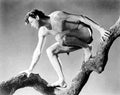 Weissmuller Johnny Tarzan and His Mate 5 film star poster A4 Photo Print