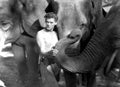 Weissmuller Johnny Tarzan the Ape Man 06 film star poster A4 Photo Print