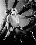 Weissmuller Johnny Tarzan the Ape Man 1 film star poster A4 Photo Print