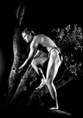 Weissmuller Johnny Tarzan the Ape Man 7 A4 Photo Print
