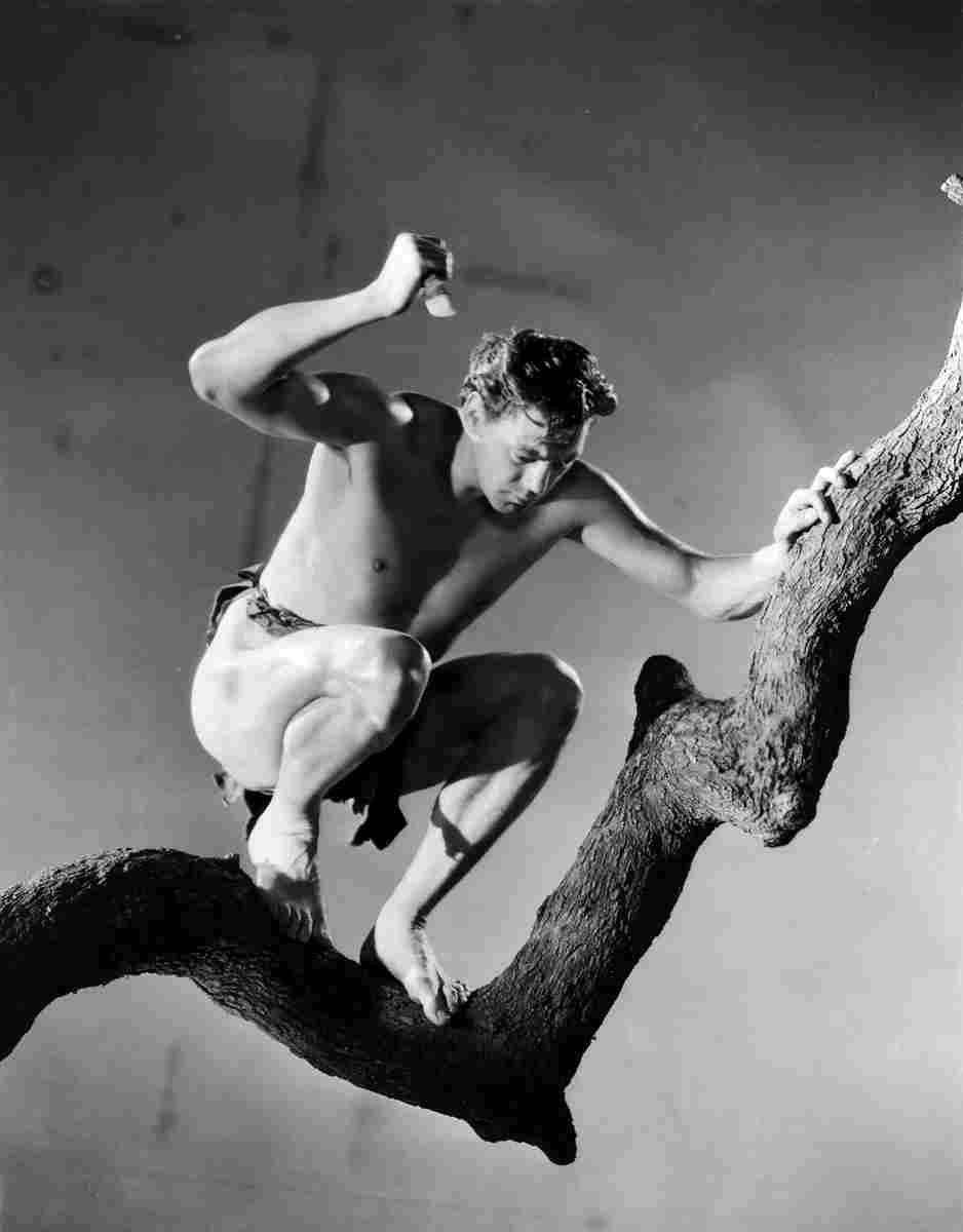 Weissmuller Johnny Tarzan the Ape Man z3 film star poster A4 Photo Print