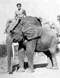 Weissmuller Johnny Tarzan the Ape Man z4 film star poster A4 Photo Print