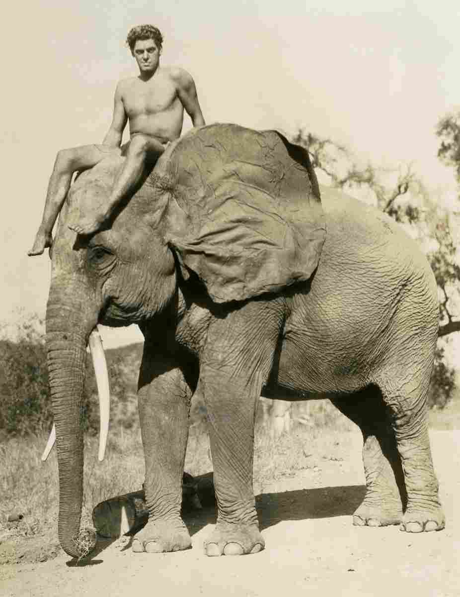 Weissmuller Johnny Tarzan the Ape Man z4S film star poster A4 Photo Print
