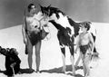 Weissmuller Johnny Tarzans Desert Mystery 1 film star poster A4 Photo Print