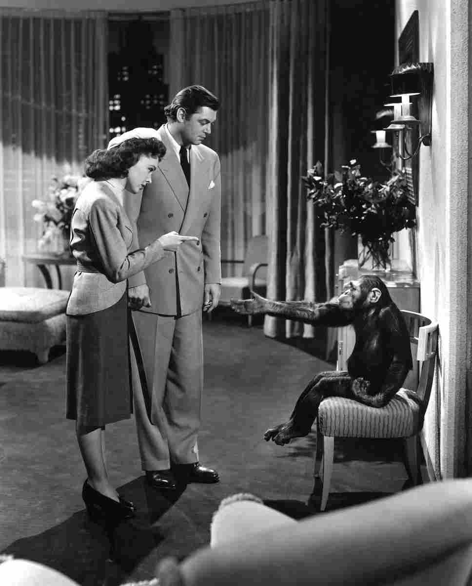 Weissmuller Johnny Tarzans New York Adventure 1 film star poster A4 Photo Print