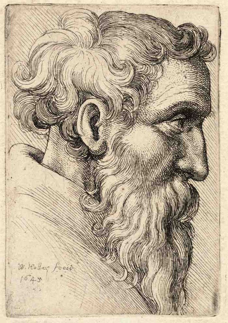 Wenceslas Hollar Bearded old man 2 A4 Photo Print
