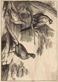 Wenceslas Hollar Three pheasants A4 Photo Print
