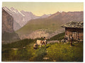 Wengern Alp Bernese Oberland Vintage A4 Photo Print