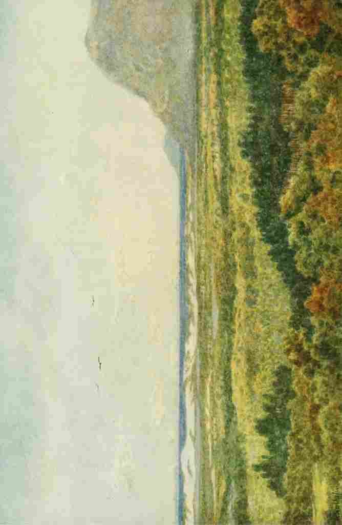 Westhofen Wilhelm 1910 Constantia Valley & False Bay with Cape Point A4 Photo Print