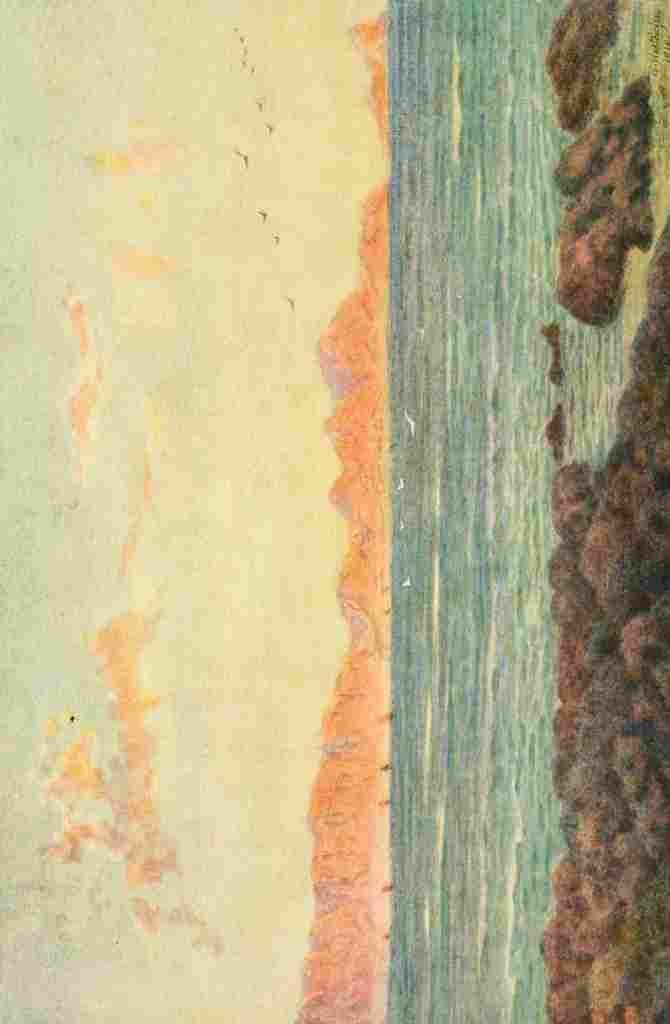 Westhofen Wilhelm 1910 False Bay with Cape Hangelip A4 Photo Print