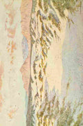 Westhofen Wilhelm 1910 Sandhills near Muizenberg A4 Photo Print