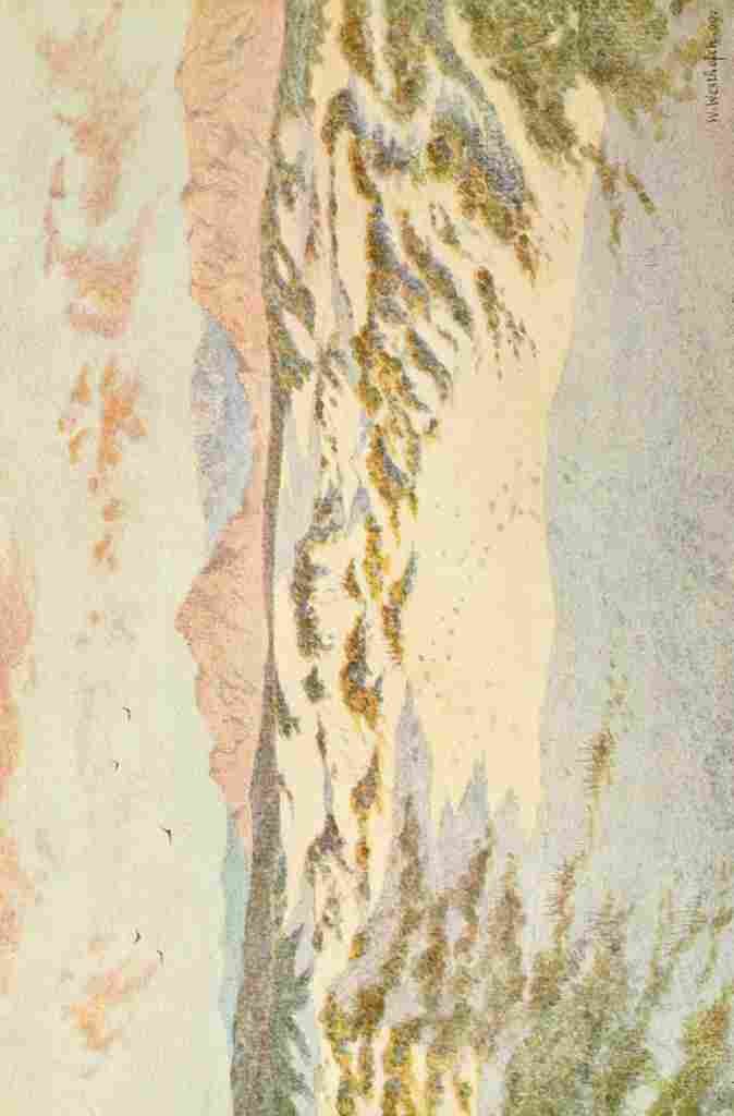 Westhofen Wilhelm 1910 Sandhills near Muizenberg A4 Photo Print