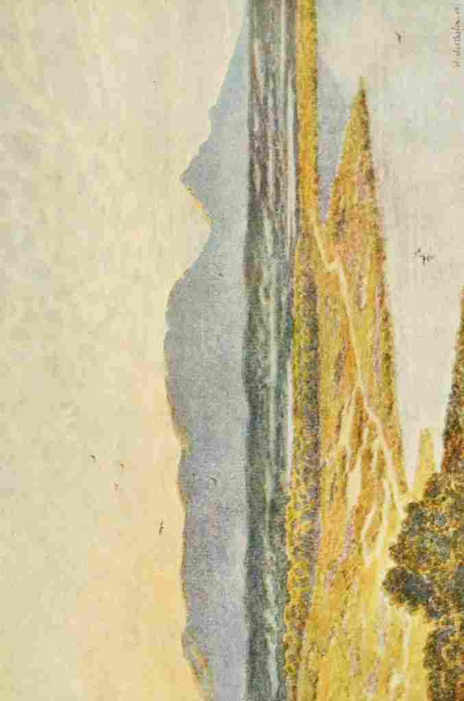 Westhofen Wilhelm 1910 Table Mountain from Retreat Flats A4 Photo Print