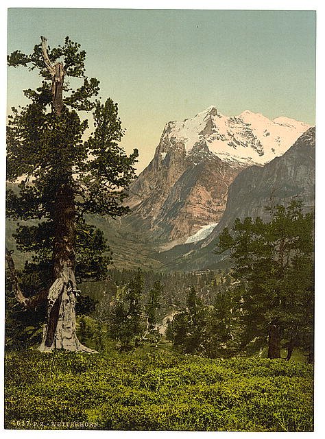 Wetterhorn general view Bernese Oberland Vintage A4 Photo Print