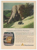 Weyerhaeuser Bears Stump Vintage Retro Advert Ads A4 Photo Print