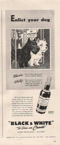 Whiskey Dog Ad Vintage Retro Advert Ads A4 Photo Print