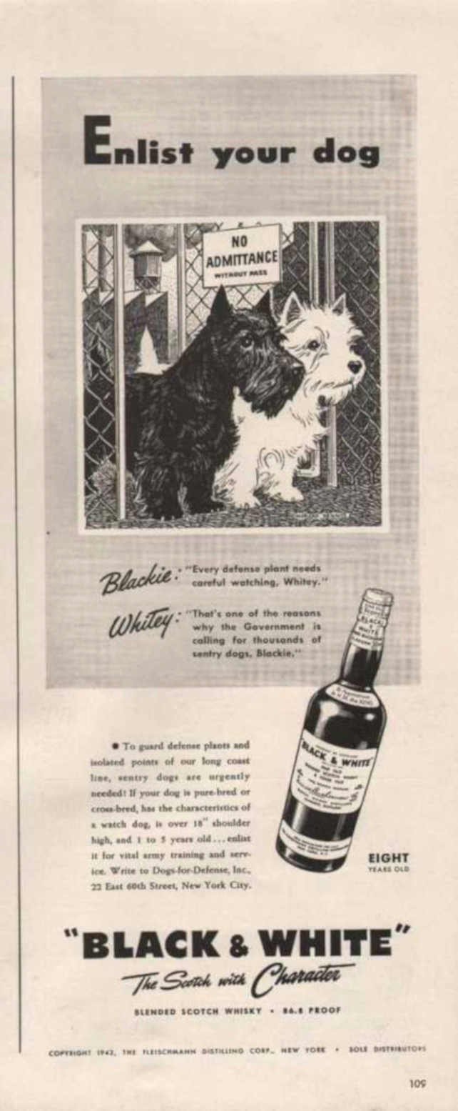 Whiskey Dog Ad Vintage Retro Advert Ads A4 Photo Print
