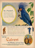 Whiskey Macaw Calvert Vintage Retro Advert Ads A4 Photo Print