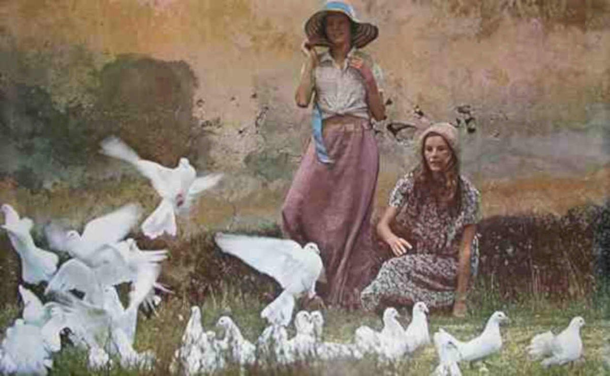 White Doves Release Vintage Retro Advert Ads A4 Photo Print
